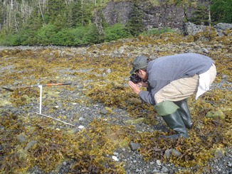 C. Hein collecting images for photogrammetric analysis of sediment organization at Prince William Sound beaches. Photo courtesy of D. Janka (M/V Auklet).